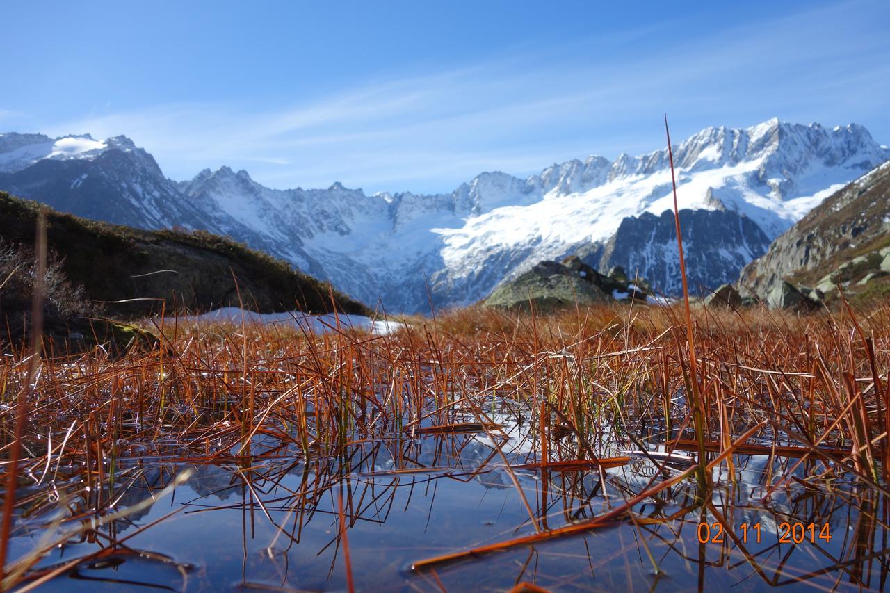 Gasthaus Goescheneralp 格申恩 外观 照片